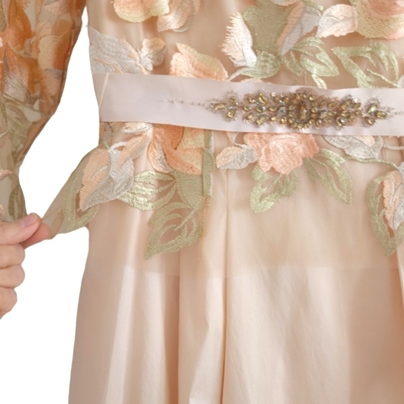 ADRIANNA Papell Peach Mother of the Bride Gown - Picture 6 of 16